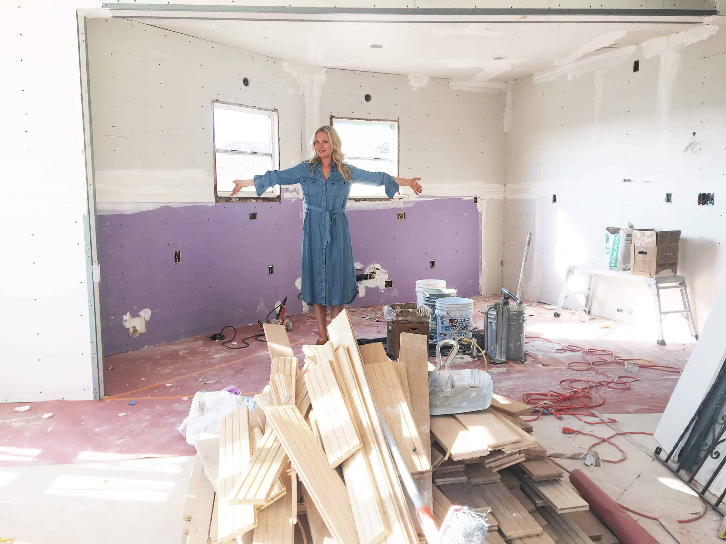 Our Main Floor Demo Plan