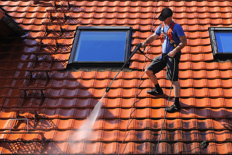 Roof Moss Removal quarter-hour A Day To Grow Your online business